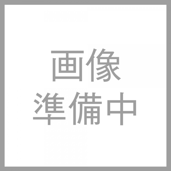 耐衝撃ケースMiA/シルエット